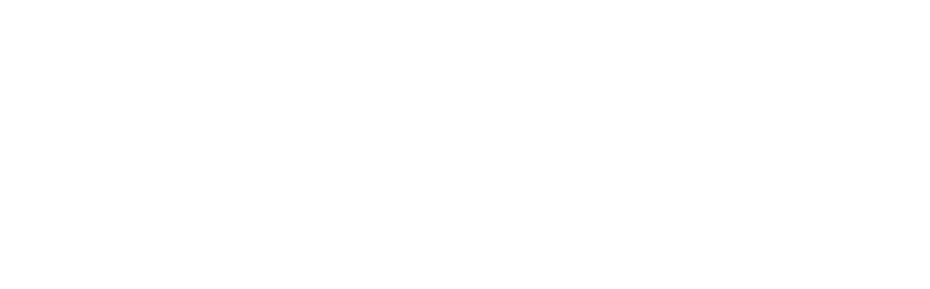 CarbonEthics Logo
